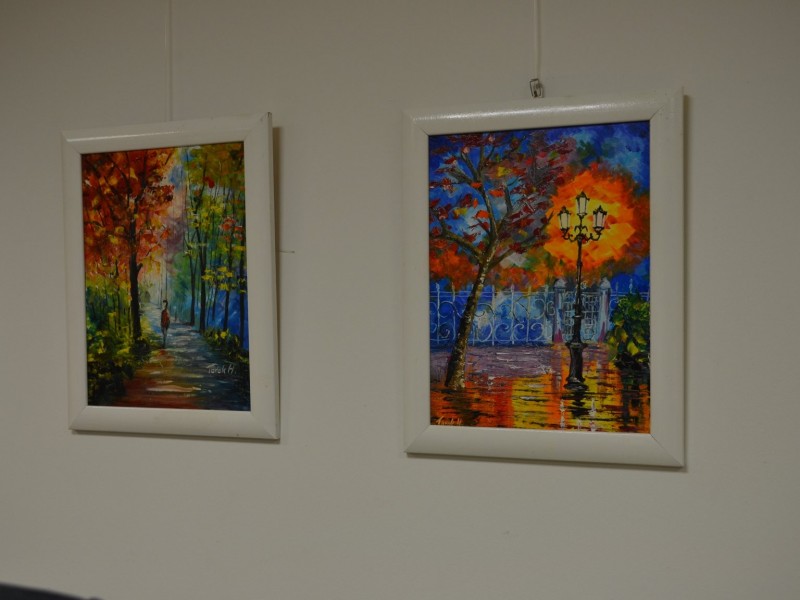 Malerei-Ausstellung - Török Henrietta
